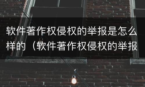 软件著作权侵权的举报是怎么样的（软件著作权侵权的举报是怎么样的行为）