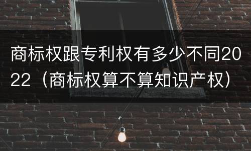 商标权跟专利权有多少不同2022（商标权算不算知识产权）