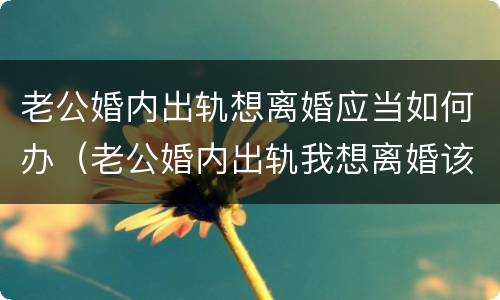 老公婚内出轨想离婚应当如何办（老公婚内出轨我想离婚该怎么办）