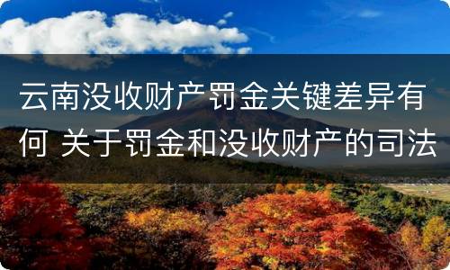 云南没收财产罚金关键差异有何 关于罚金和没收财产的司法解释
