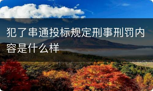 犯了串通投标规定刑事刑罚内容是什么样