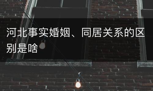 河北事实婚姻、同居关系的区别是啥