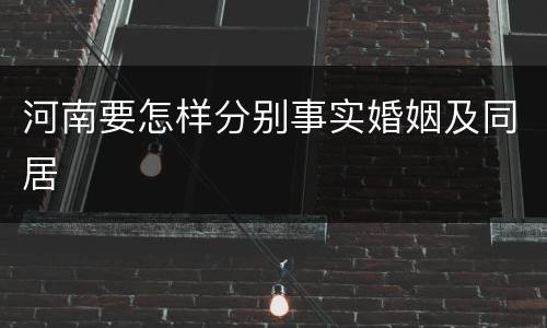 河南要怎样分别事实婚姻及同居