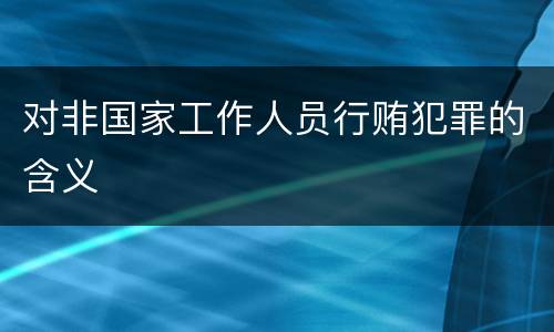 对非国家工作人员行贿犯罪的含义