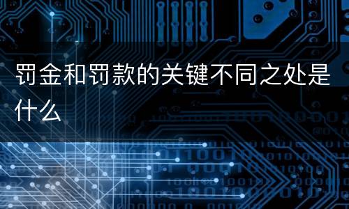 罚金和罚款的关键不同之处是什么