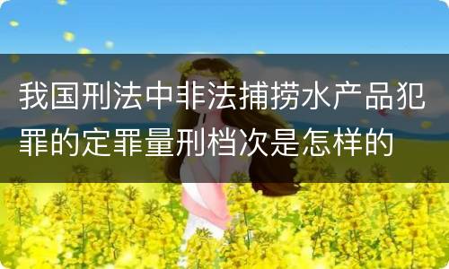 我国刑法中非法捕捞水产品犯罪的定罪量刑档次是怎样的