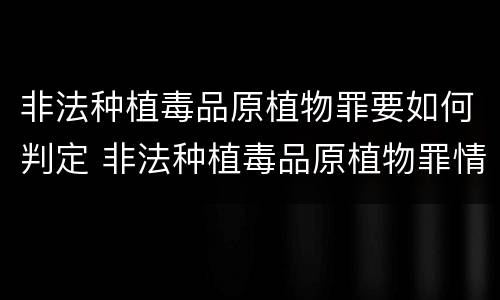 非法种植毒品原植物罪要如何判定 非法种植毒品原植物罪情节严重的三种情况