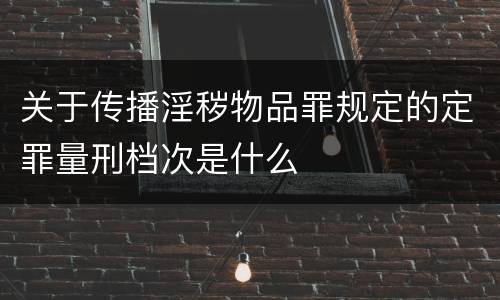 关于传播淫秽物品罪规定的定罪量刑档次是什么