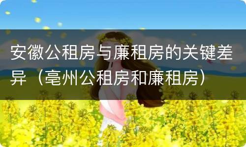 安徽公租房与廉租房的关键差异（亳州公租房和廉租房）