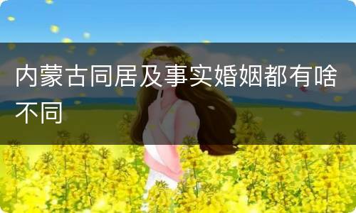 内蒙古同居及事实婚姻都有啥不同