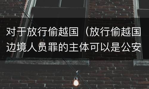 对于放行偷越国（放行偷越国边境人员罪的主体可以是公安民警吗）