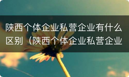 陕西个体企业私营企业有什么区别（陕西个体企业私营企业有什么区别和联系）