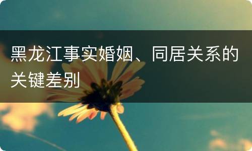 黑龙江事实婚姻、同居关系的关键差别