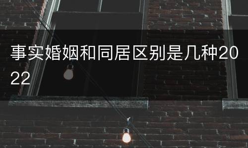 事实婚姻和同居区别是几种2022