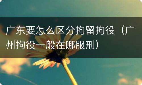 广东要怎么区分拘留拘役（广州拘役一般在哪服刑）