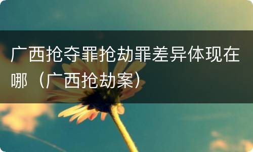 广西抢夺罪抢劫罪差异体现在哪（广西抢劫案）