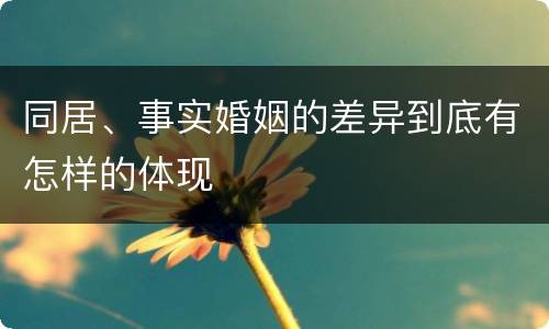 同居、事实婚姻的差异到底有怎样的体现