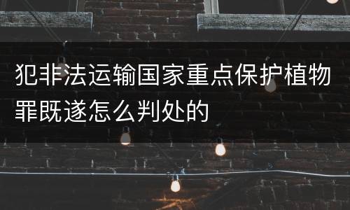 犯非法运输国家重点保护植物罪既遂怎么判处的