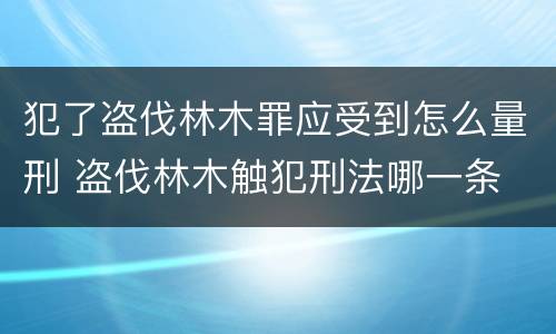 犯了盗伐林木罪应受到怎么量刑 盗伐林木触犯刑法哪一条