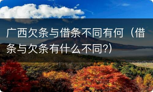 广西欠条与借条不同有何（借条与欠条有什么不同?）