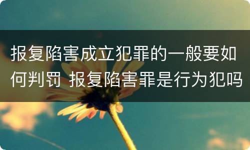 报复陷害成立犯罪的一般要如何判罚 报复陷害罪是行为犯吗