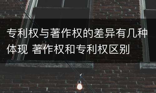 专利权与著作权的差异有几种体现 著作权和专利权区别
