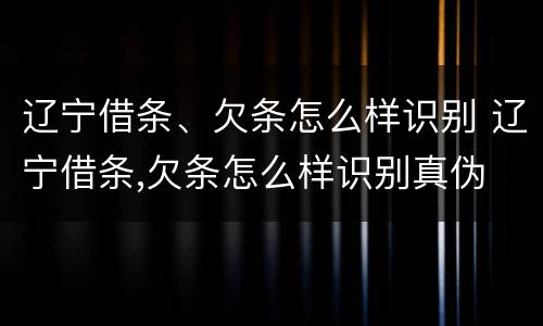 辽宁借条、欠条怎么样识别 辽宁借条,欠条怎么样识别真伪