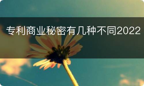 专利商业秘密有几种不同2022