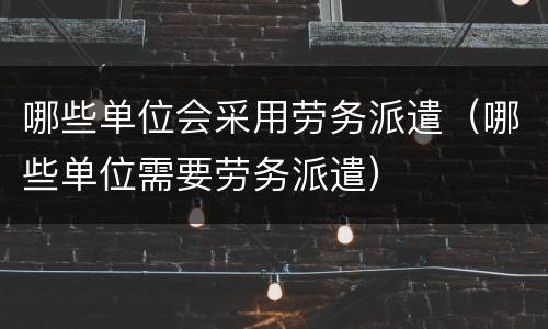 哪些单位会采用劳务派遣（哪些单位需要劳务派遣）