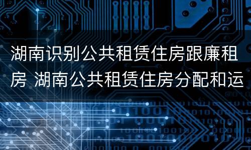 湖南识别公共租赁住房跟廉租房 湖南公共租赁住房分配和运营管理办法