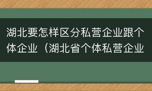 湖北要怎样区分私营企业跟个体企业（湖北省个体私营企业协会）