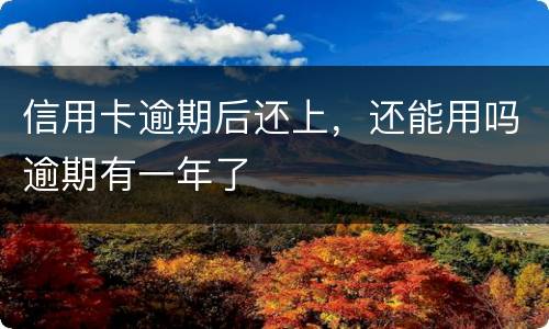 信用卡逾期后还上，还能用吗逾期有一年了