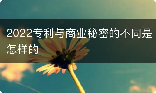 2022专利与商业秘密的不同是怎样的