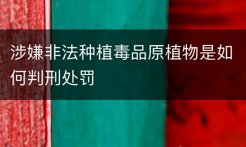 涉嫌非法种植毒品原植物是如何判刑处罚