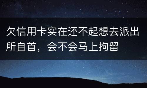 欠信用卡实在还不起想去派出所自首，会不会马上拘留