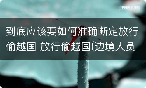 到底应该要如何准确断定放行偷越国 放行偷越国(边境人员罪