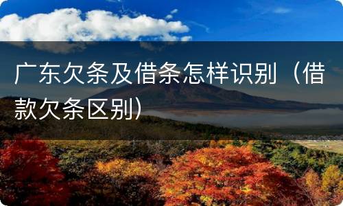 广东欠条及借条怎样识别（借款欠条区别）