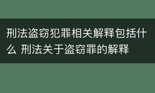 刑法盗窃犯罪相关解释包括什么 刑法关于盗窃罪的解释