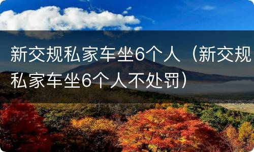 新交规私家车坐6个人（新交规私家车坐6个人不处罚）
