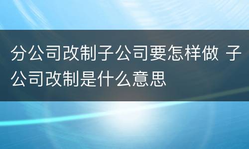 分公司改制子公司要怎样做 子公司改制是什么意思