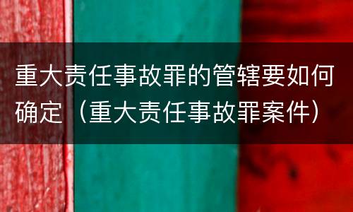 重大责任事故罪的管辖要如何确定（重大责任事故罪案件）