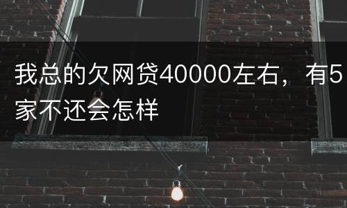 我总的欠网贷40000左右，有5家不还会怎样