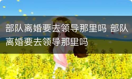 部队离婚要去领导那里吗 部队离婚要去领导那里吗