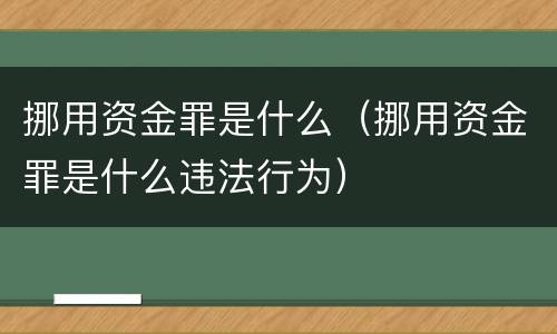 挪用资金罪是什么（挪用资金罪是什么违法行为）