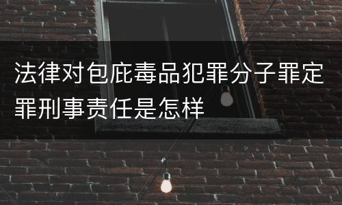 法律对包庇毒品犯罪分子罪定罪刑事责任是怎样