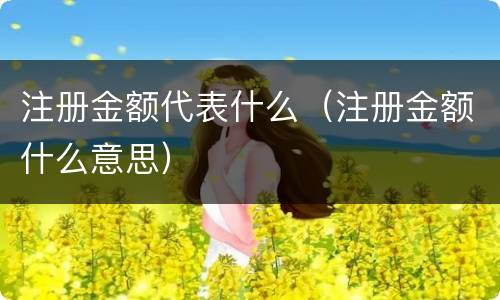 注册金额代表什么（注册金额什么意思）