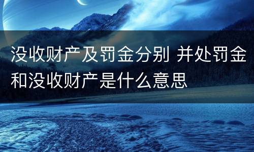 没收财产及罚金分别 并处罚金和没收财产是什么意思