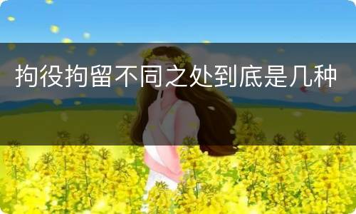 拘役拘留不同之处到底是几种