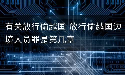 有关放行偷越国 放行偷越国边境人员罪是第几章