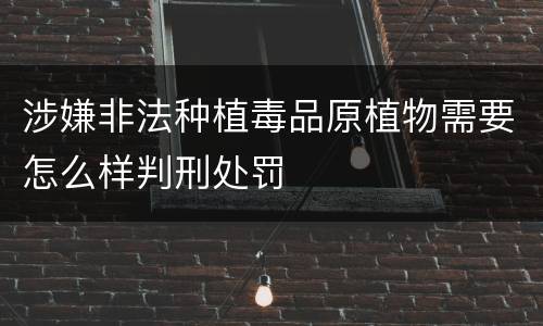 涉嫌非法种植毒品原植物需要怎么样判刑处罚